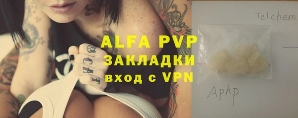 ПСИЛОЦИБИНОВЫЕ ГРИБЫ Пересвет