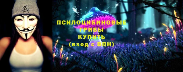 прущие крисы Пестово